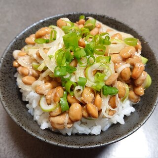 ネギねぎ納豆ご飯